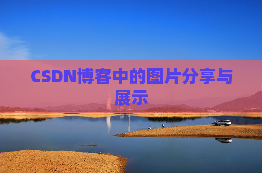 CSDN博客中的图片分享与展示